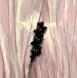 Link to my instagram